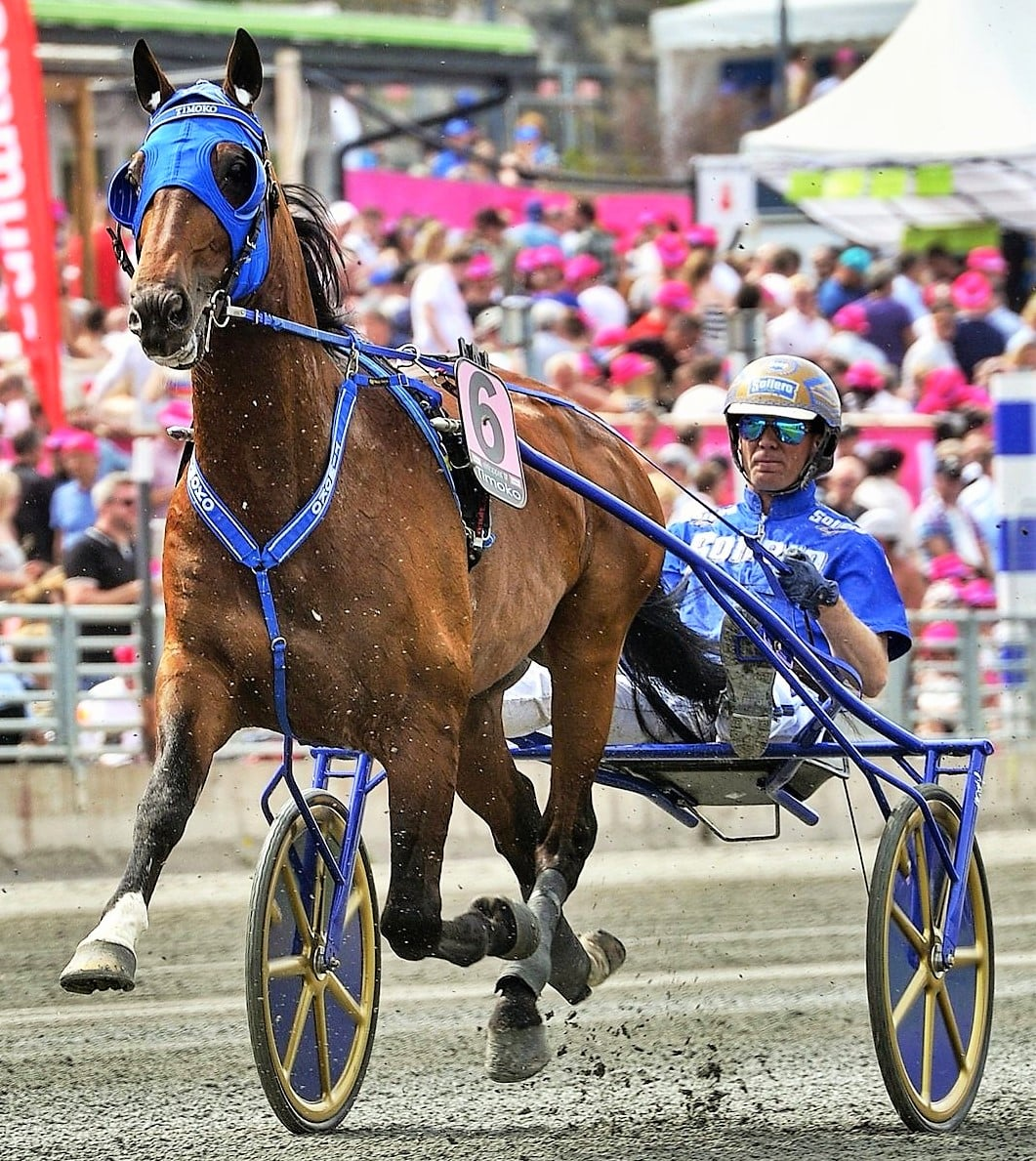 TIMOKO