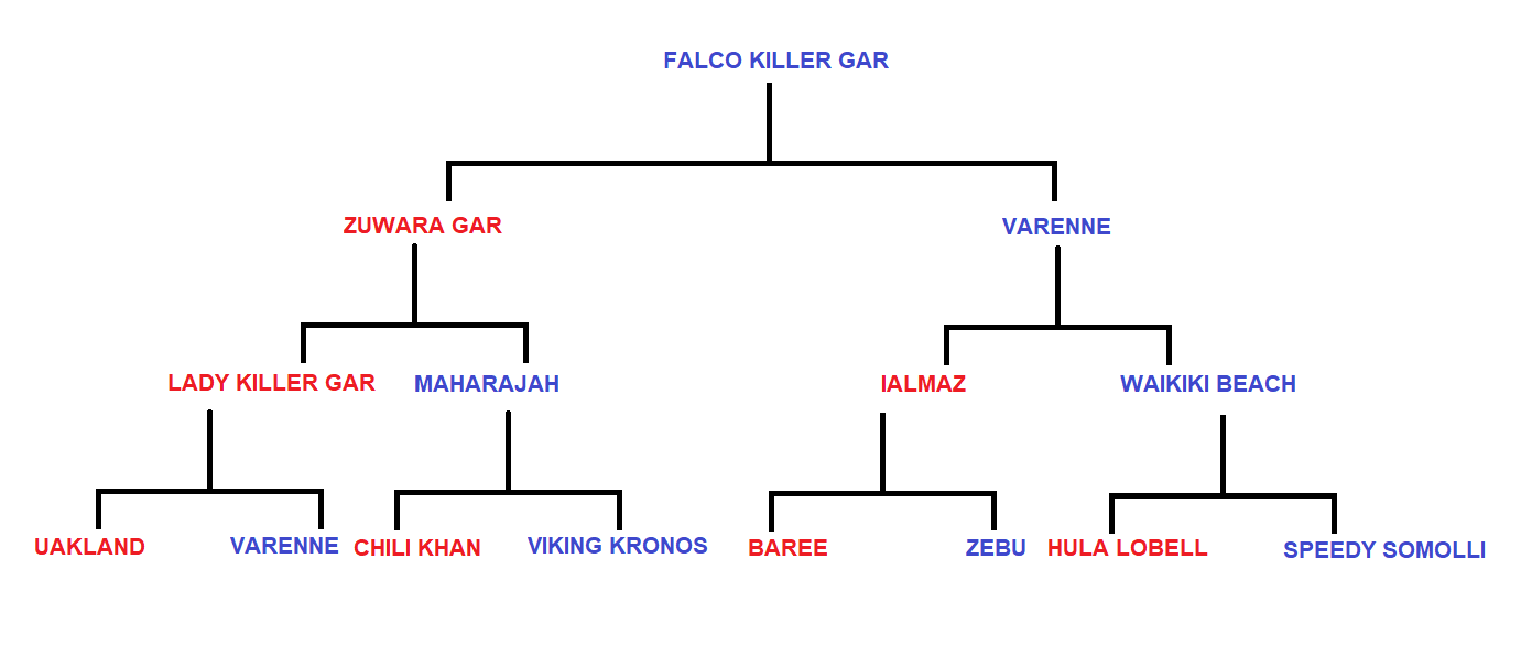 Falco-Killer-Gar-Genealogia.png