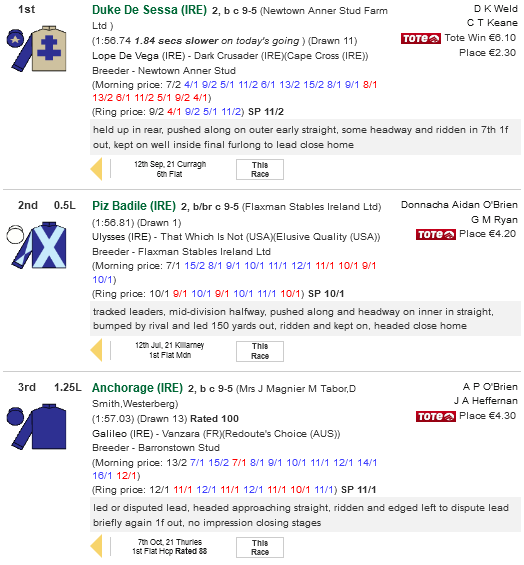 Screenshot 2021-10-23 at 19-25-58 irishracing com Race Result Leopardstown, Sat, 23rd Oct, 2021, Eyrefield Stakes (Group 3)[...].png