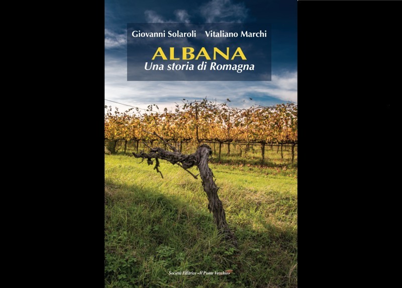 albana copertina.jpeg