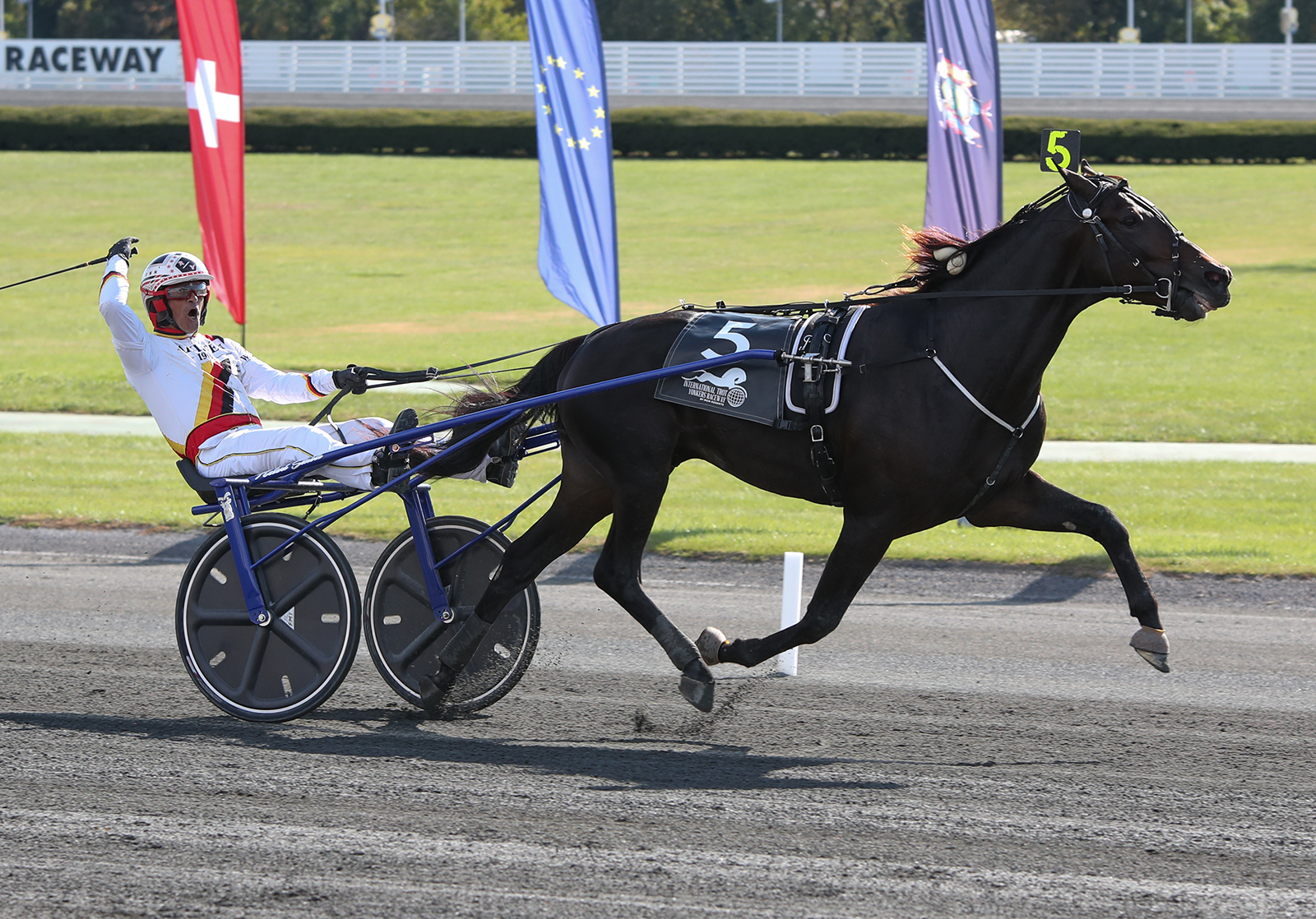 Zacon Gio ultimo vincitore dell'MGM Yonkers International Trot in 2019.